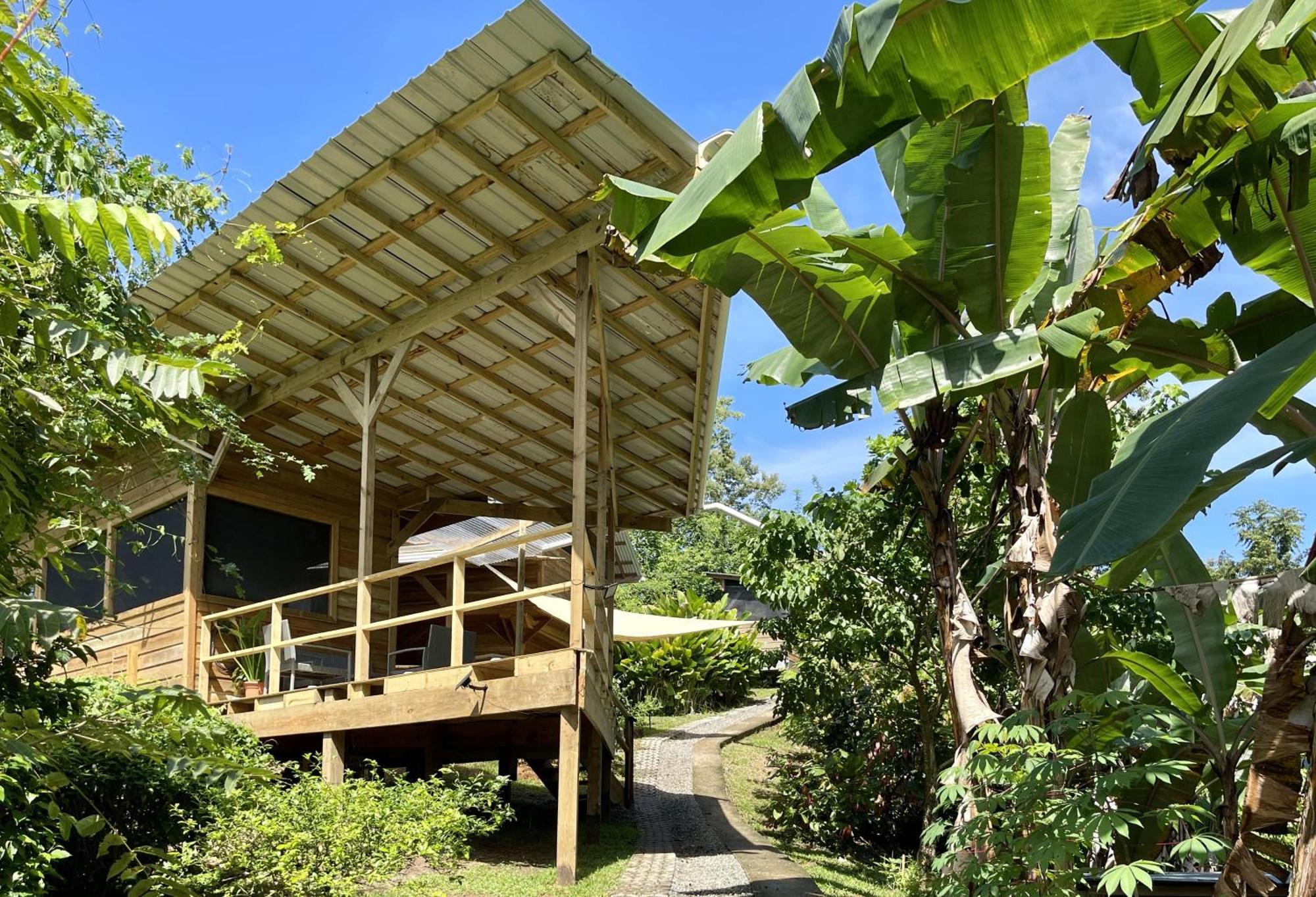Eden Jungle Lodge Bocas del Toro Exterior foto